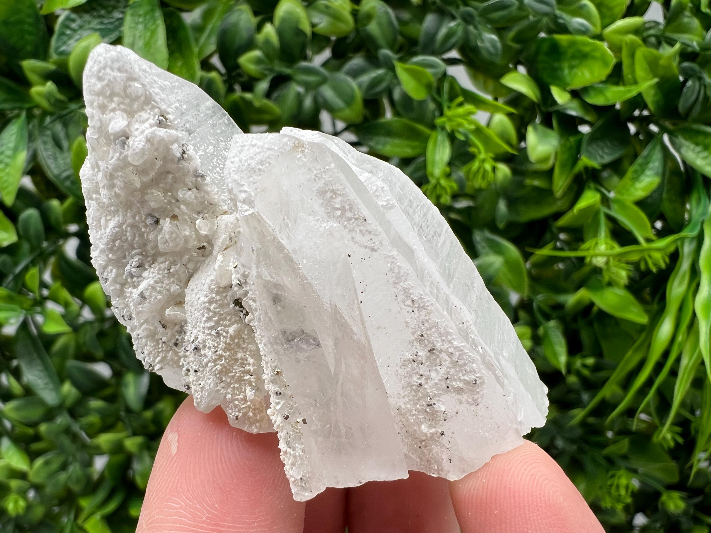 Quartz with Pyrite Mineral Specimen: Krushev dol, Bulgaria