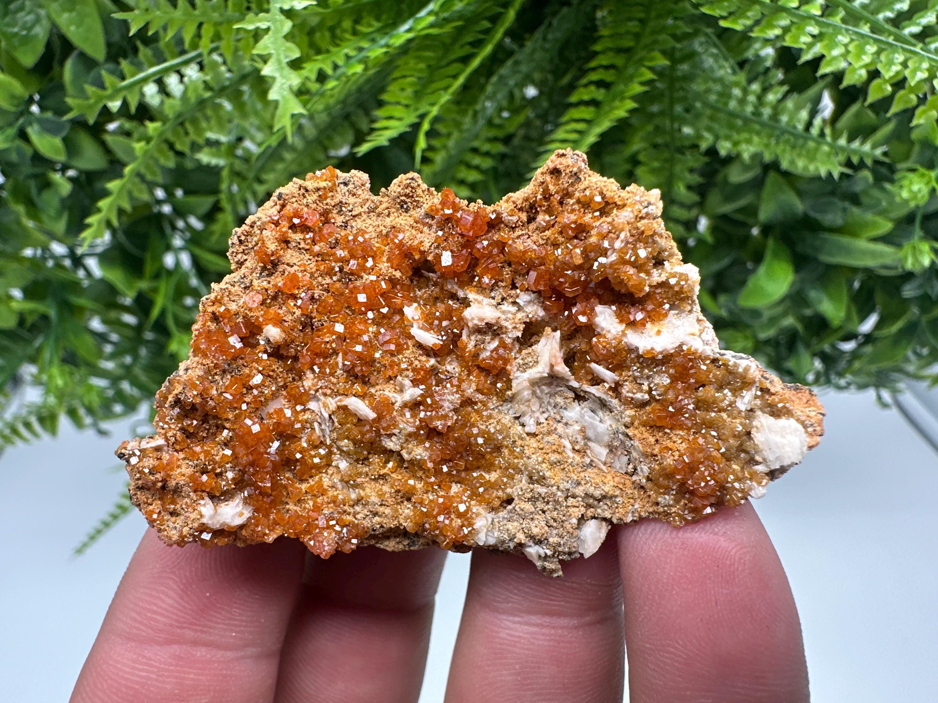 Red Vanadinite on Barite, Morocco Crystal Mineral Specimen