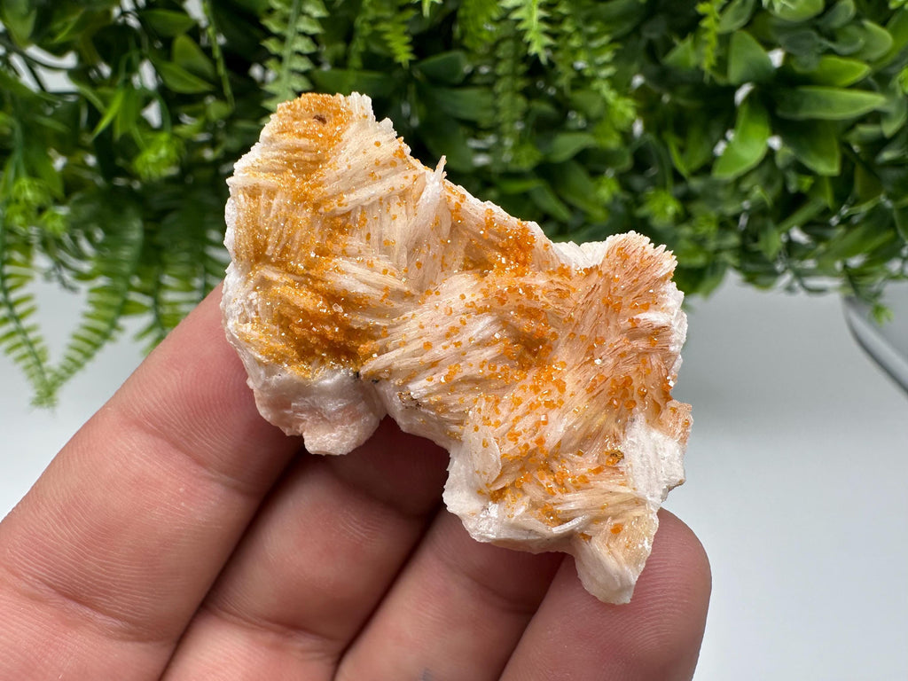 Red Vanadinite on Barite from Marocco,crystal minerals Speciment cluster Vanadinite crystal Vanadinite Geology Vanadinite cluster minerals