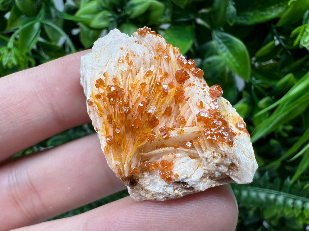 Red Vanadinite on Barite from Marocco,crystal minerals Speciment cluster Vanadinite crystal Vanadinite Geology Vanadinite cluster minerals