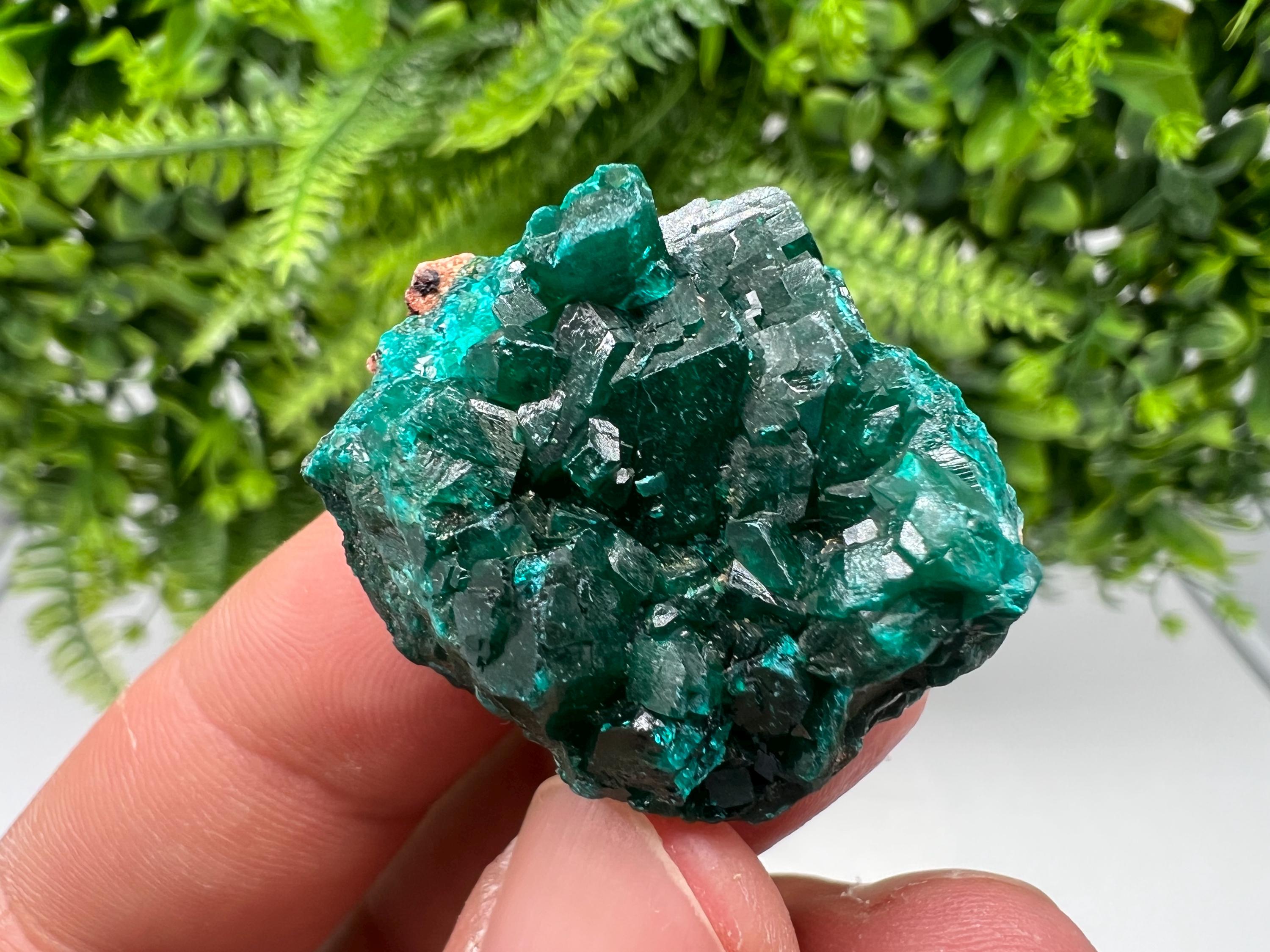 Stunning Green Dioptase from Sanda Hills,Mindouli,Pool Department,Mindouli District,Congo,green Dioptase,Dioptas Crystal,Dioptase collecting