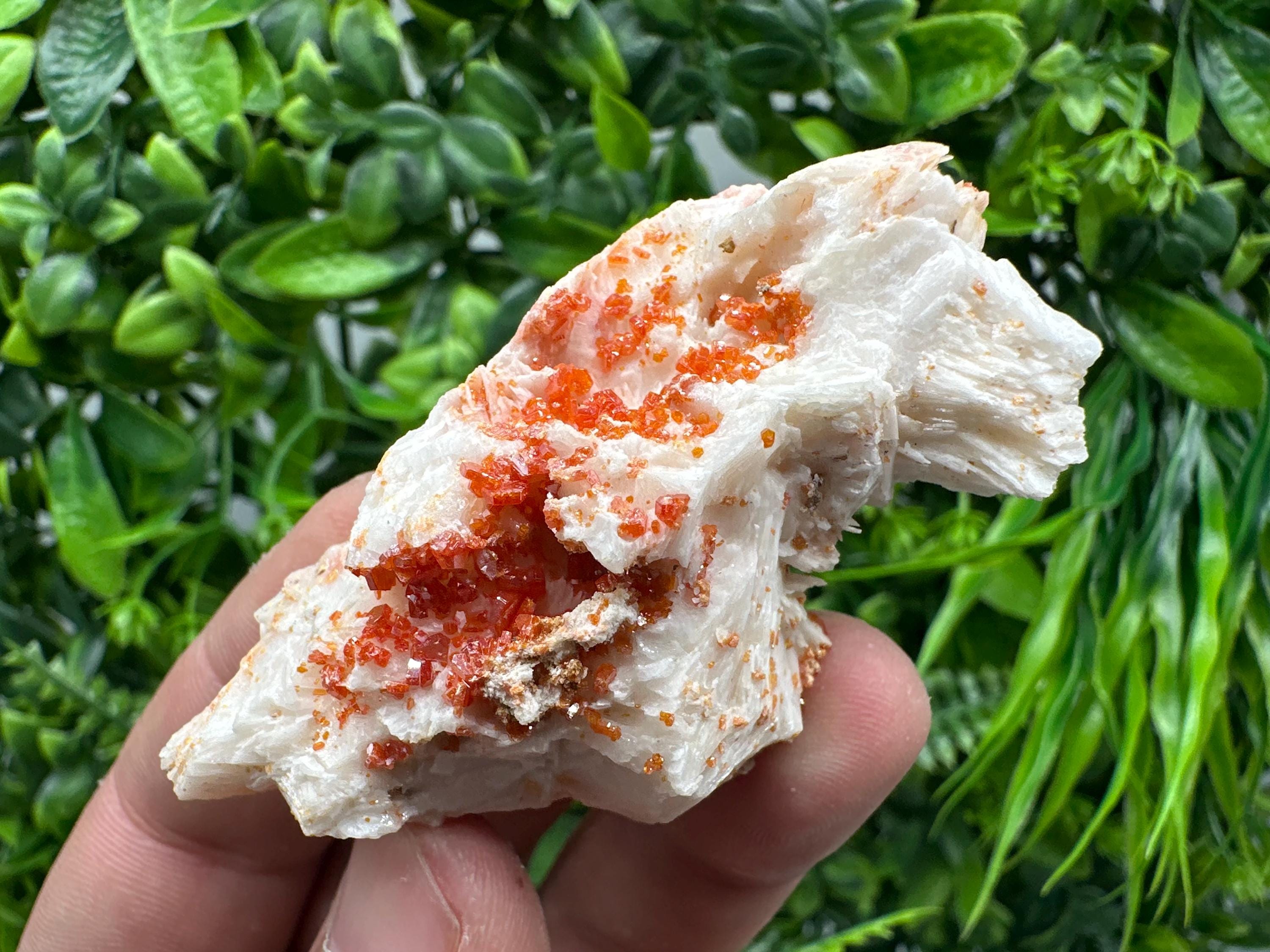 Red Vanadinite on Barite, Moroccan Crystal Mineral Specimen