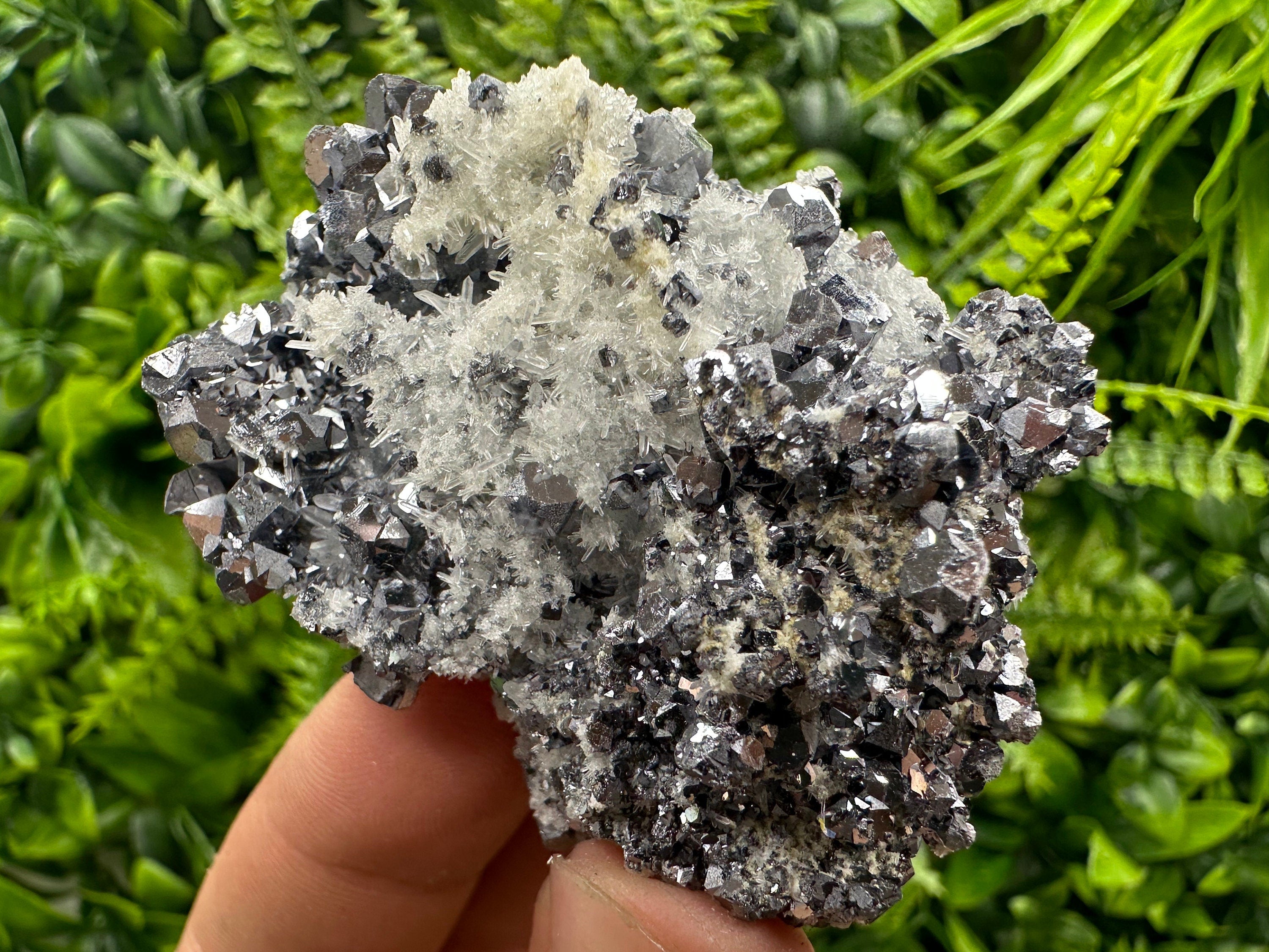 Shiny Galena on Quartz: Natural Crystal Mineral Decor