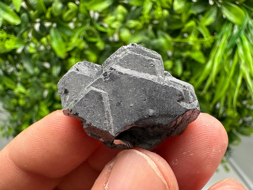 Galena Crystal Cluster from Borieva Mine, Bulgaria