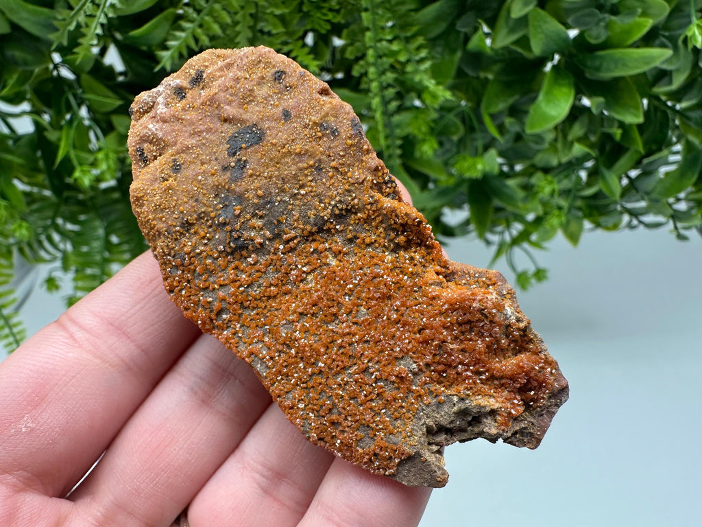 Red Vanadinite on Matrix from Marocco,crystal minerals Speciment cluster Vanadinite crystal Vanadinite Geology Vanadinite cluster minerals