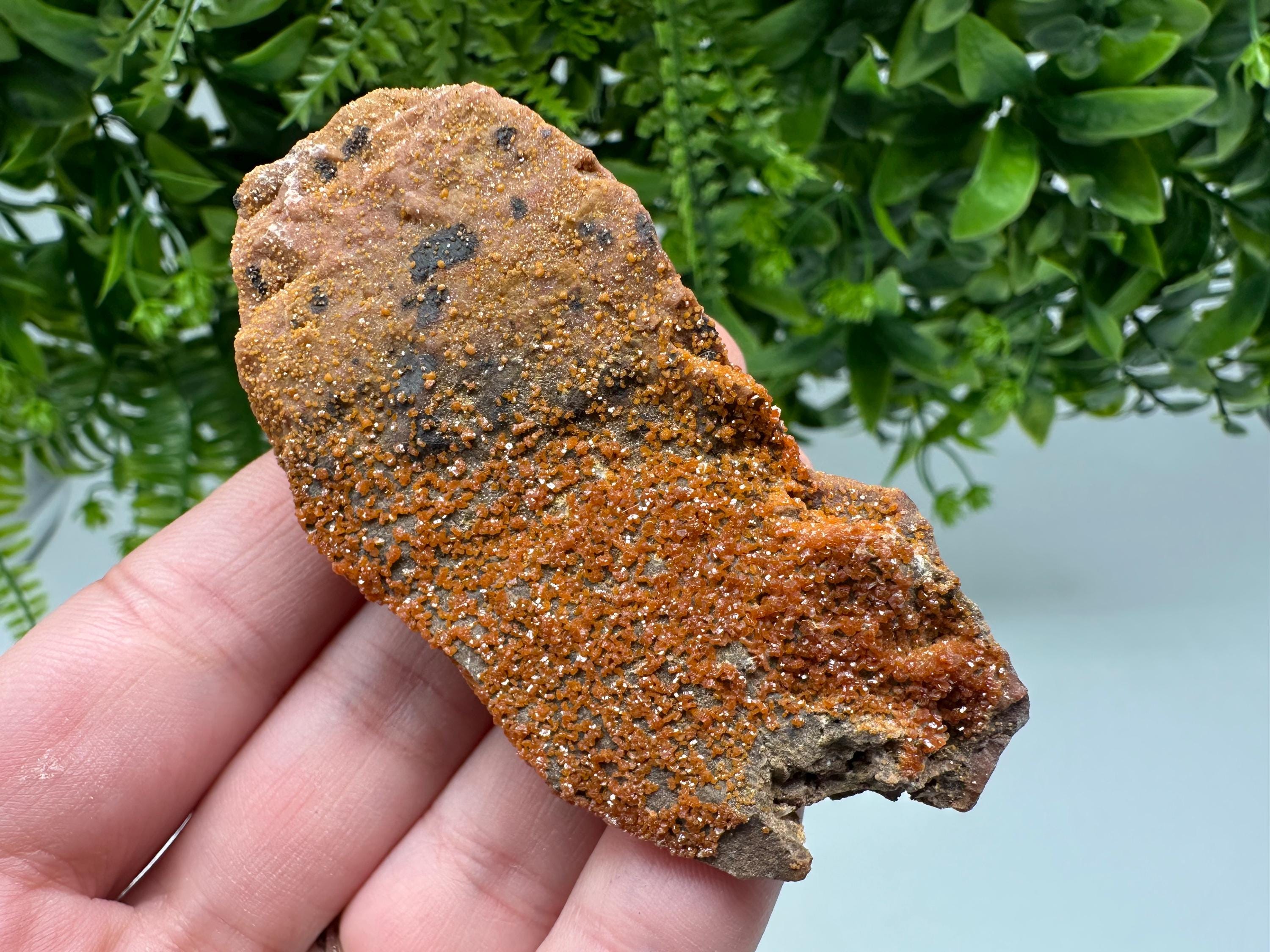 Red Vanadinite on Matrix from Marocco,crystal minerals Speciment cluster Vanadinite crystal Vanadinite Geology Vanadinite cluster minerals