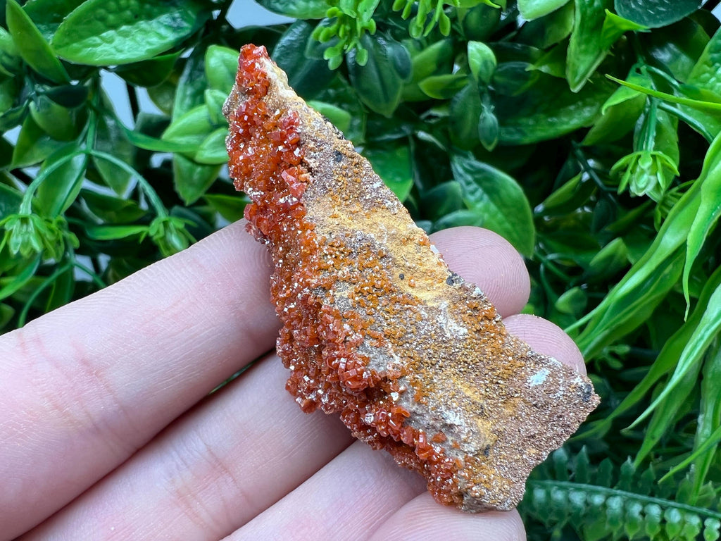Red Vanadinite on Barite from Marocco,crystal minerals Speciment cluster Vanadinite crystal Vanadinite Geology Vanadinite cluster minerals
