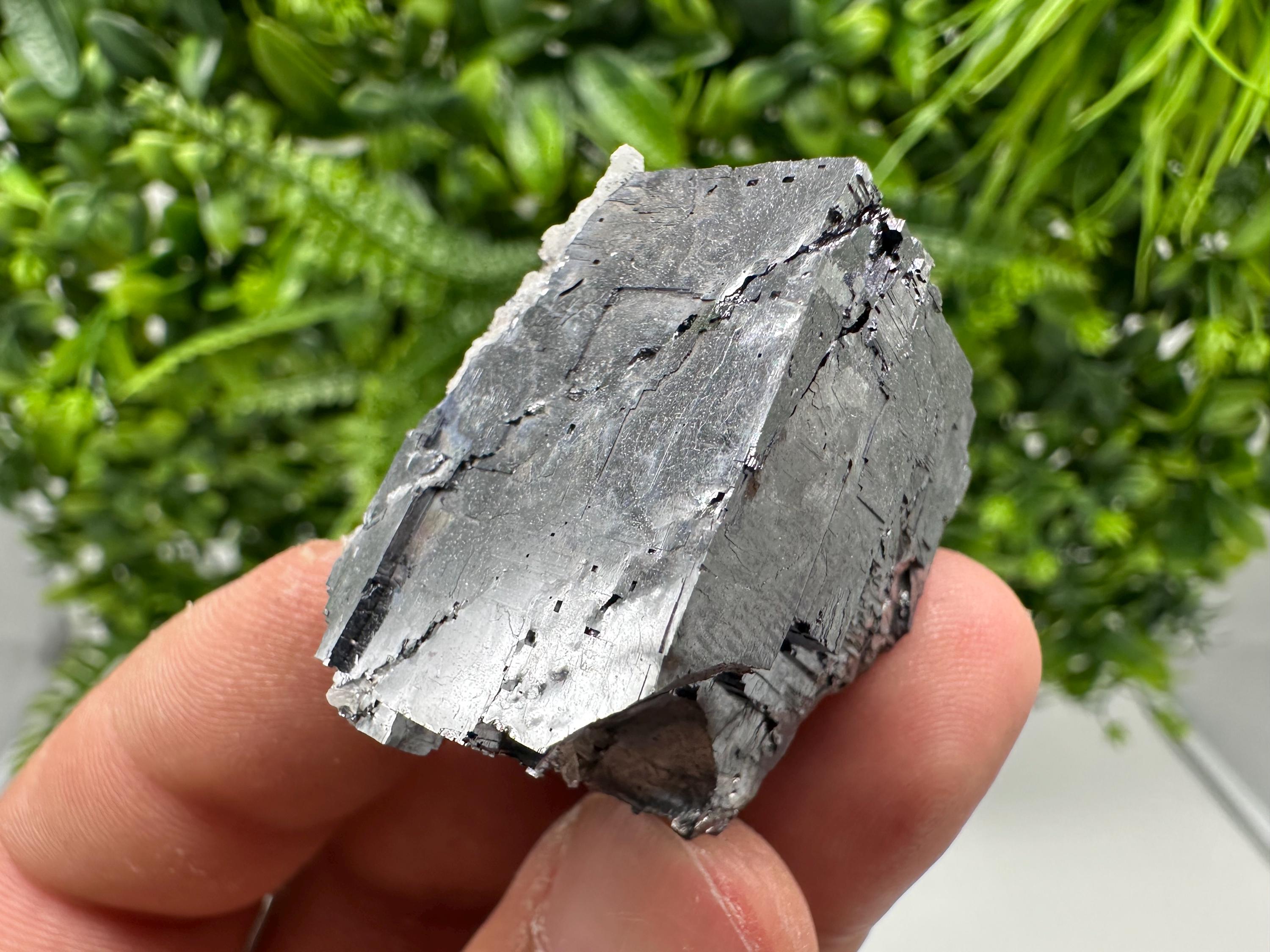 Shiny Galena Cluster, Borieva Mine, Madan Bulgaria