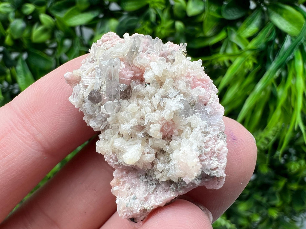 Pink Rhodochrosite Crystal: Starnica Mine, Bulgaria
