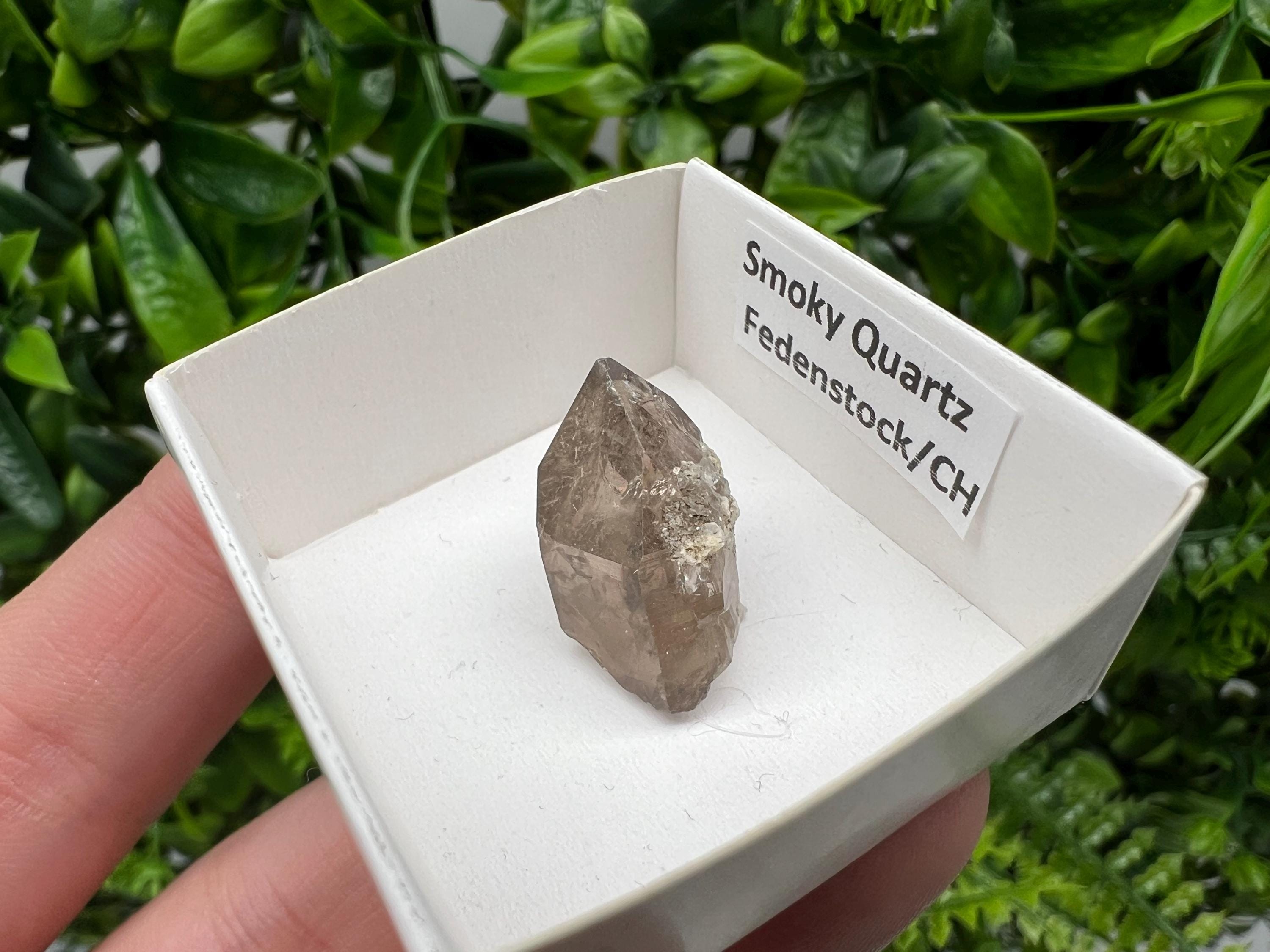 Rare Fedenstock Smoky Quartz Point, Swiss Mineral Specimen (20MM)
