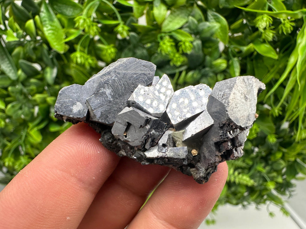 Skeletal Shiny Galena Mineral Crystal: Borieva Bulgaria Home Decor