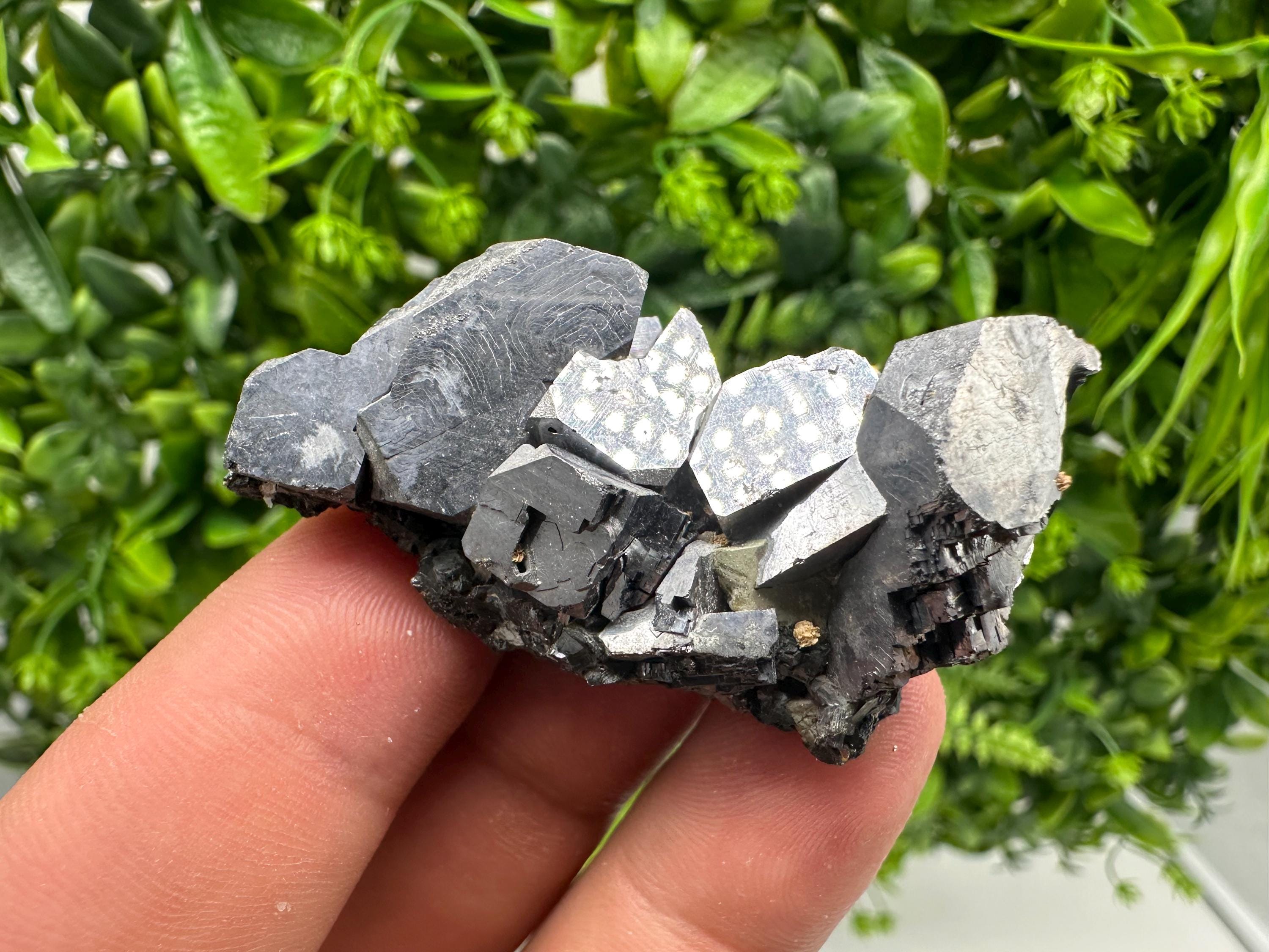 Skeletal Shiny Galena Mineral Crystal: Borieva Bulgaria Home Decor
