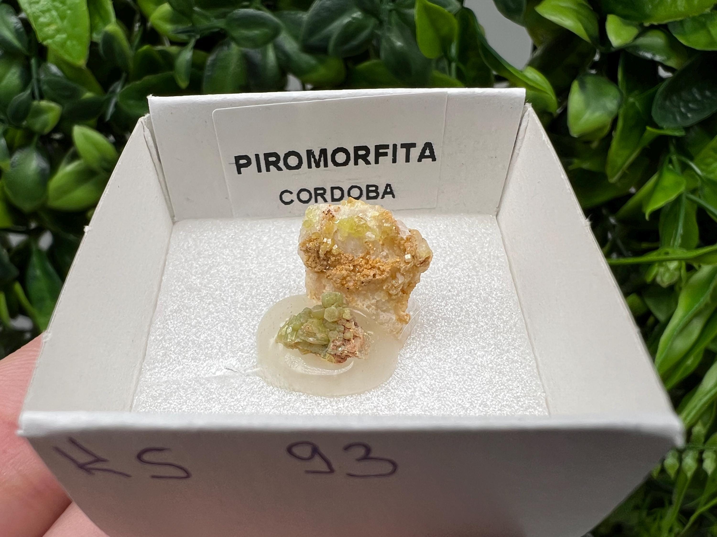 Pyromorphite Stone / Pyromorphite on Matrix / Pyromorphite Crystal / Raw Crystal / Pyromorphite Cluster / Rough Pyromorphite / Pyromorphite