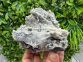 Chalcedony Quartz Cluster with Chlorite - Bulgaria Mineral Specimen