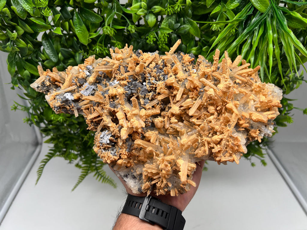 Collection Skeleral GALENA on Transparent Quartz whit Brown Calcite,natural,collectibles mineral specimen,home decor stone,gift,collection