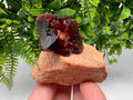 Orange-Brown Arcanite Mineral Specimen, Santa Ana Tin Mine