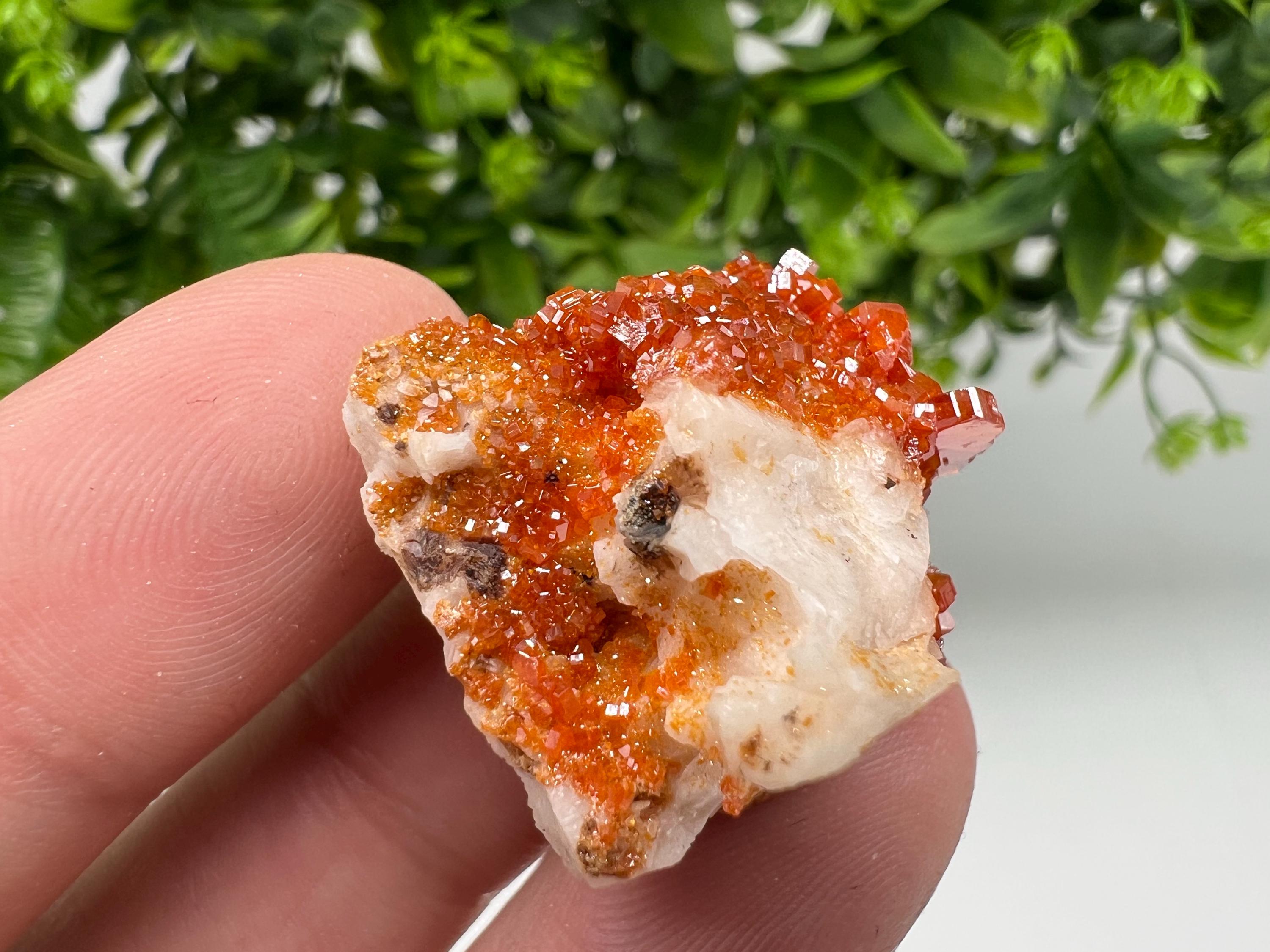 Red Vanadinite on Barite from Marocco,crystal minerals Speciment cluster Vanadinite crystal Vanadinite Geology Vanadinite cluster minerals