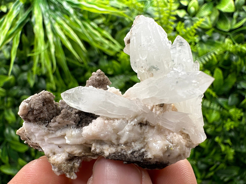 Quartz with Chlorite on Rhodochrosite and Siderite - Natural Crystal Decor