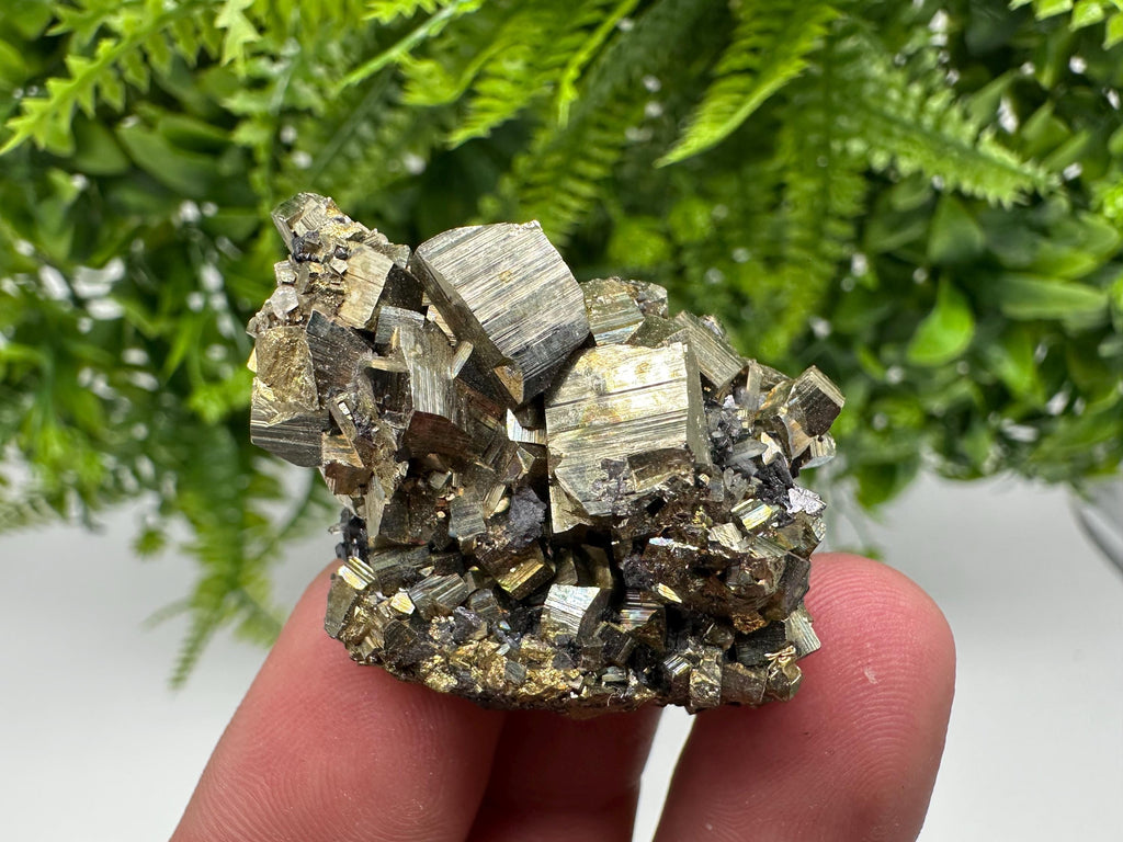 Rare Crystallized Pyrite Cluster - Borieva Mine, Bulgaria
