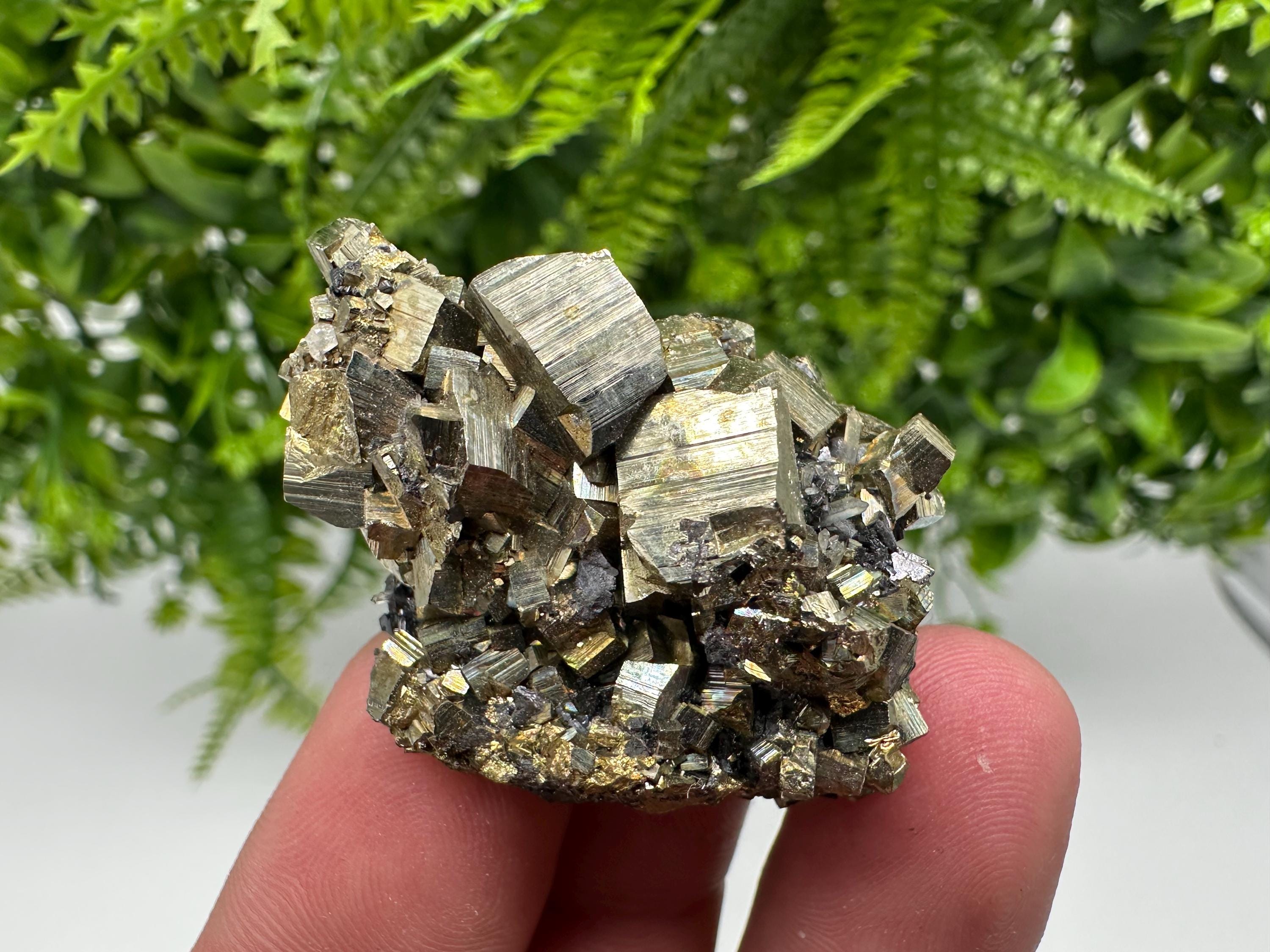 Rare Crystallized Pyrite Cluster - Borieva Mine, Bulgaria