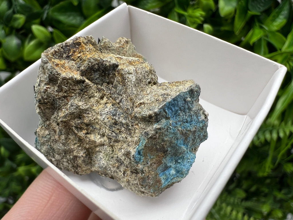 Rare Raw Aerinite Mineral Specimen: Lleida, Spain Crystal