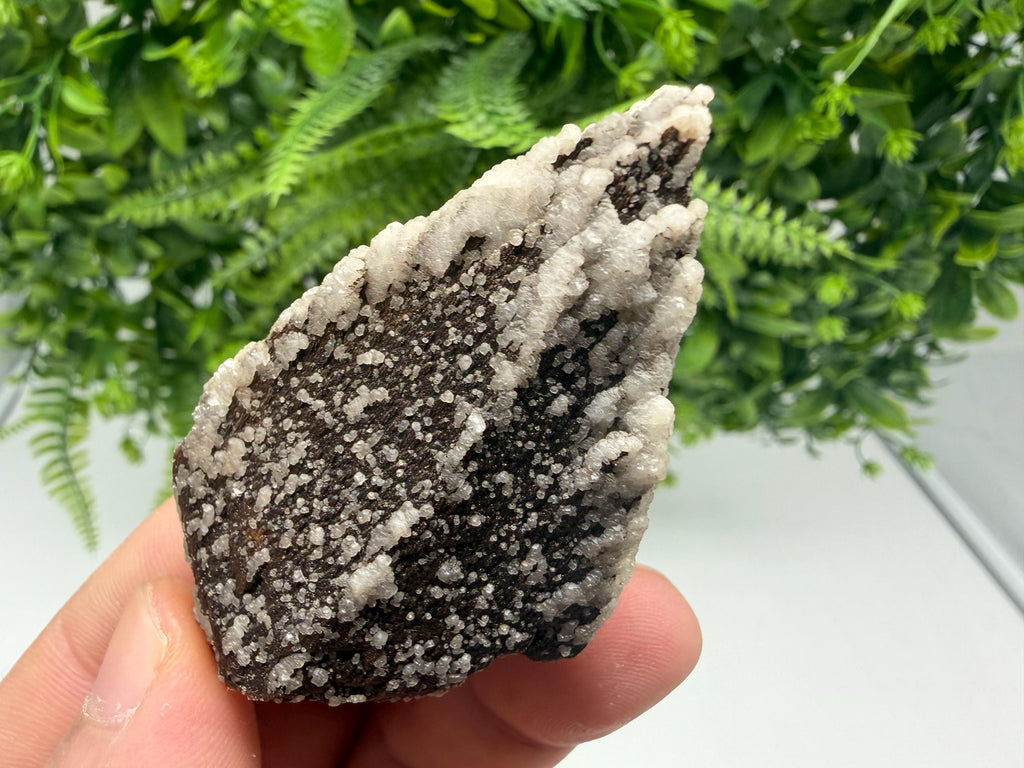 Brown Rhodochrosite on Calcite, Djurcovo Bulgaria, Mineral Specimen