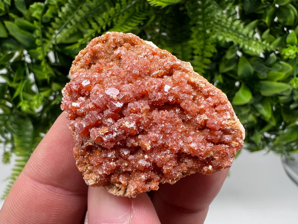 Red Vanadinite on Barite from Marocco,crystal minerals Speciment cluster Vanadinite crystal Vanadinite Geology Vanadinite cluster minerals