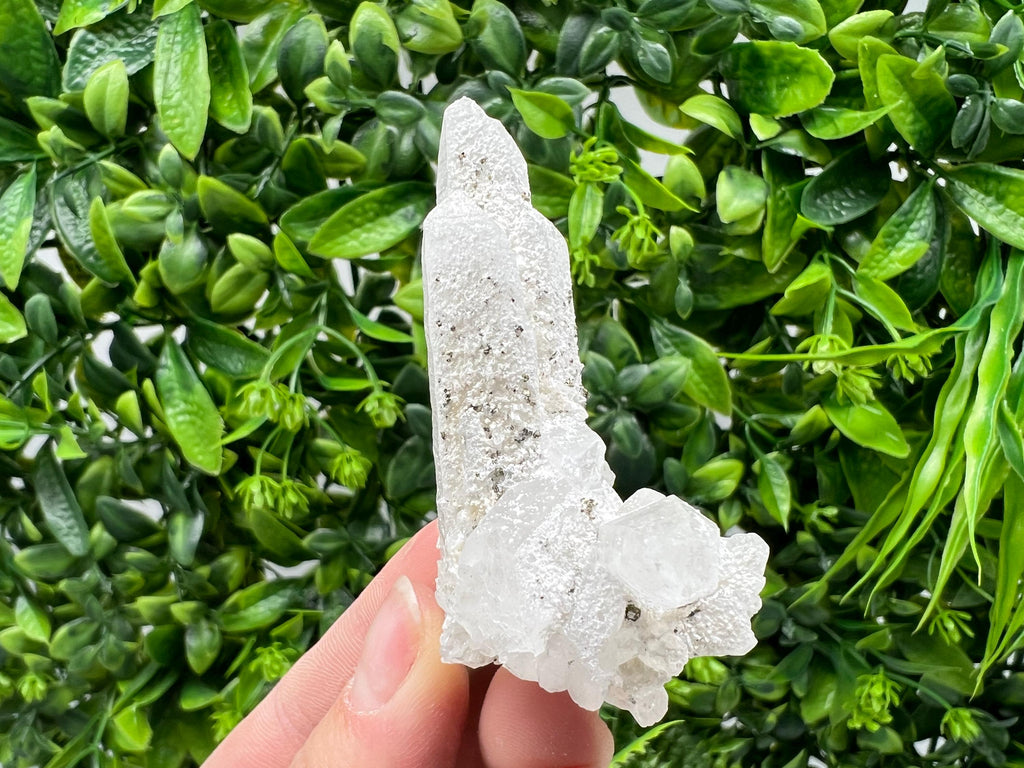 Quartz with Pyrite, Krushev Dol Mine Crystal, Bulgaria