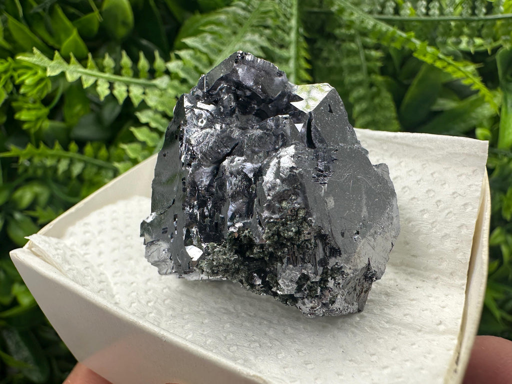 Shiny Galena Cluster: Borieva Mine, Madan, Bulgaria