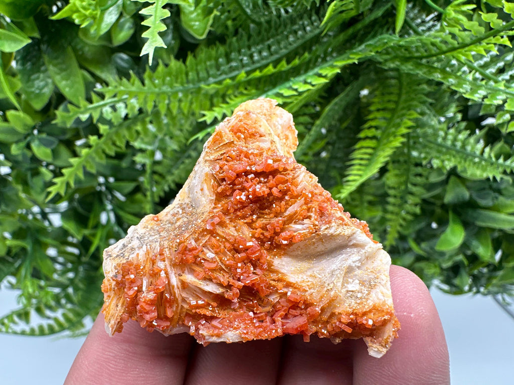 Red Vanadinite Crystal Cluster on Matrix, Morocco Mineral Specimen