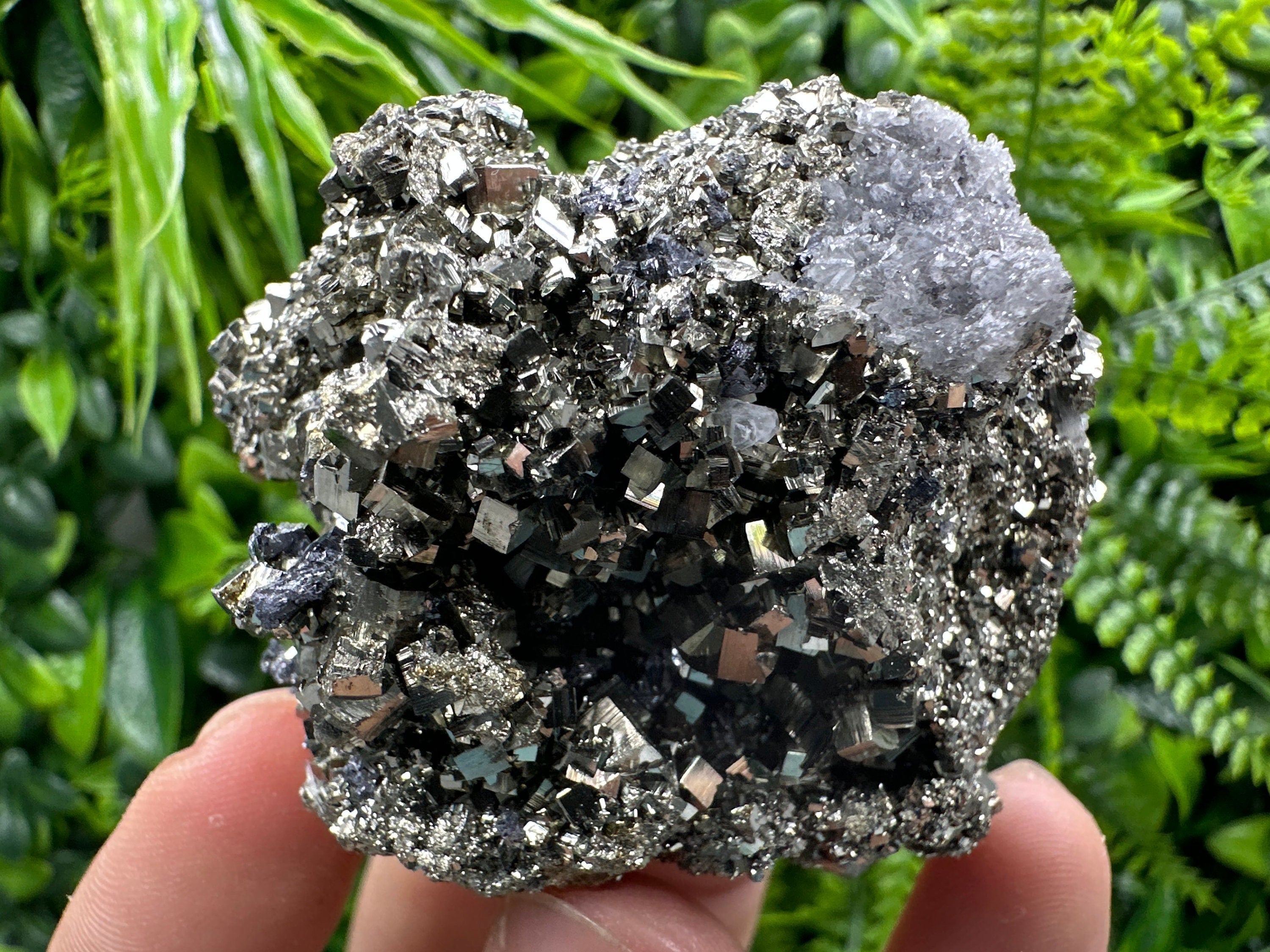 Golden Pyrite Crystal: Borieva Mine, Bulgaria