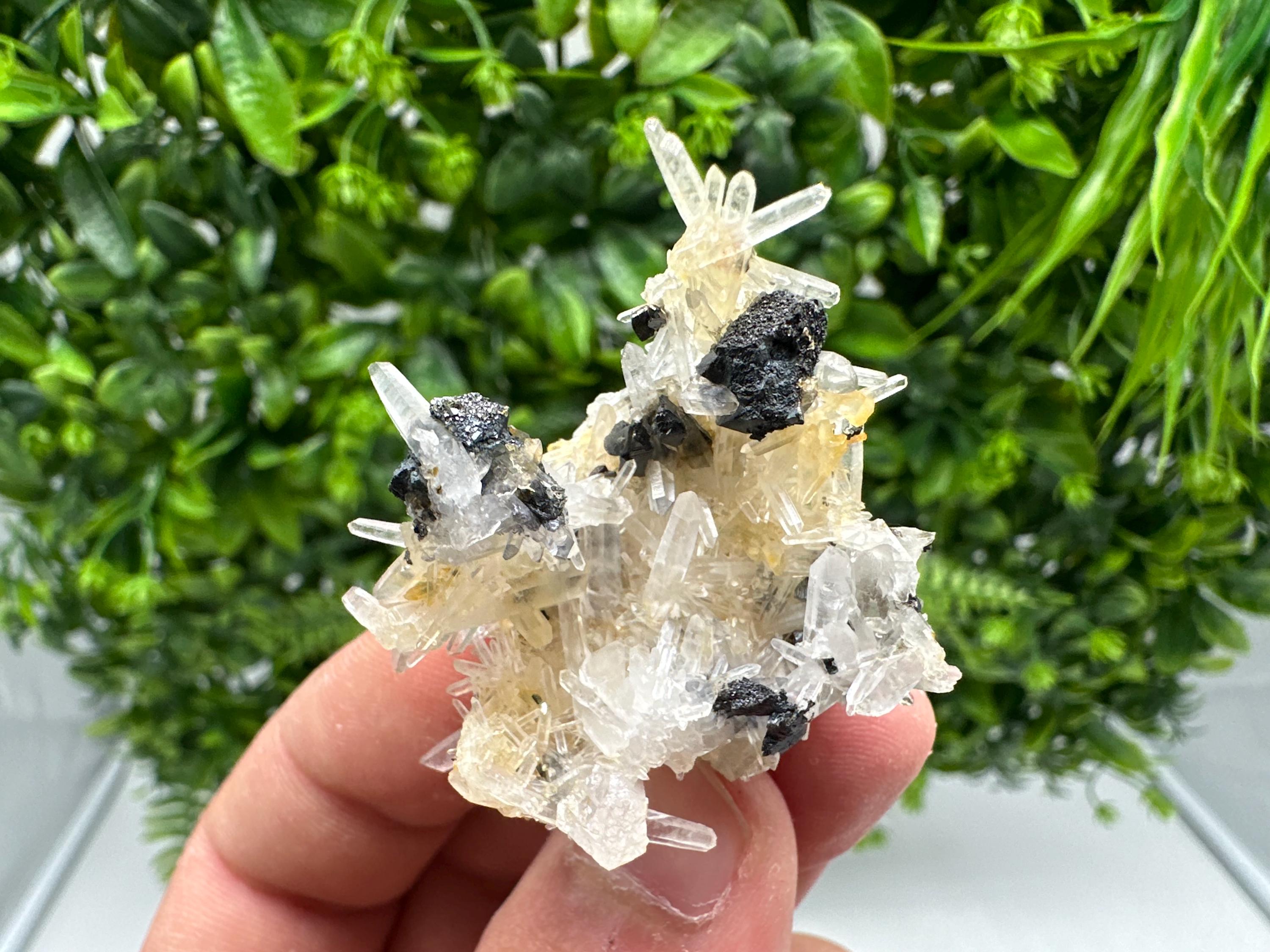 Wonderful Sphalerite Chalcopyrite on  Quartz whit Hematite from 9 th September mine,Bulgaria,natural,collection mineral specimen,gift