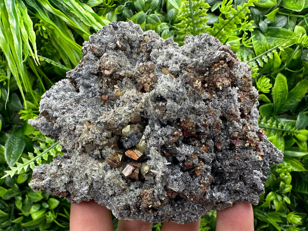 Rainbow Pyrite on Quartz with Oxide, Borieva Bulgaria Mineral Specimen