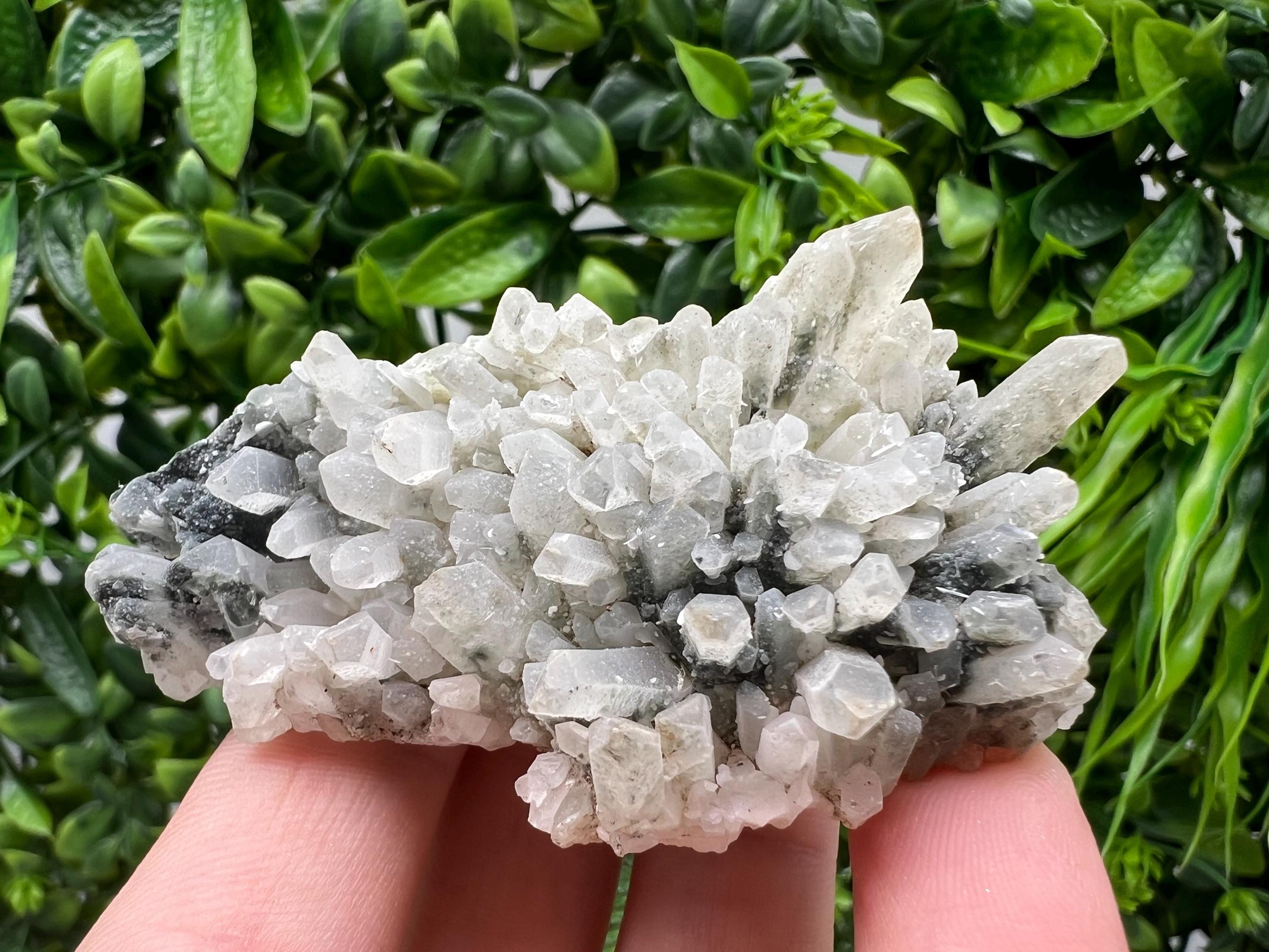 Stunning Transparent Quartz,from Borieva mine,natural collection mineral specimen rare crystal,home decor crystal,quartz cluster,Quartz,gift