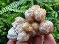Aragonite Cluster, Dimitrovgrad Bulgaria, Mineral Specimen