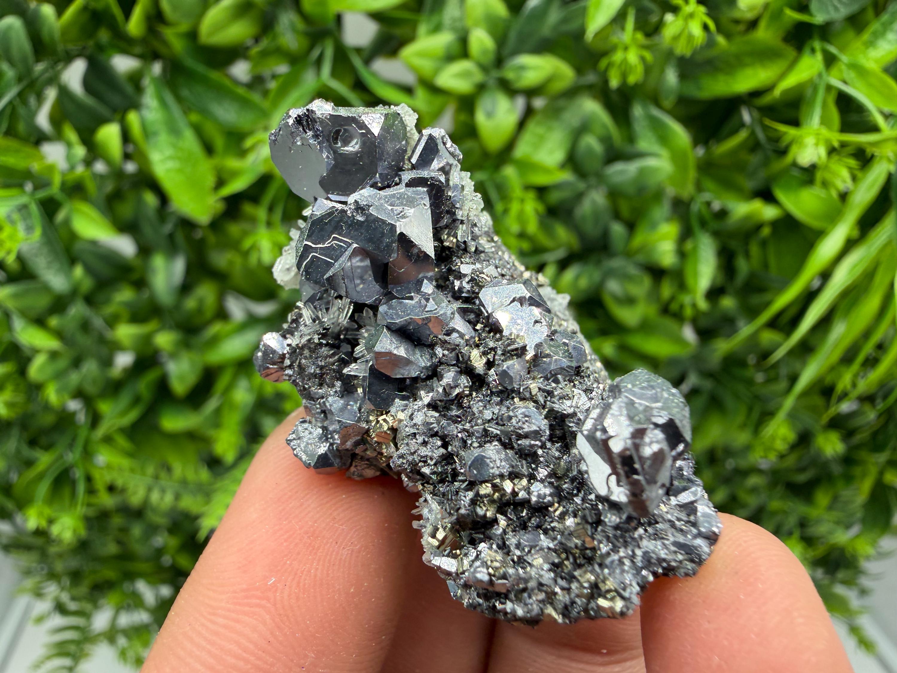 Shiny Galena Cluster, Borieva Mine, Madan Bulgaria