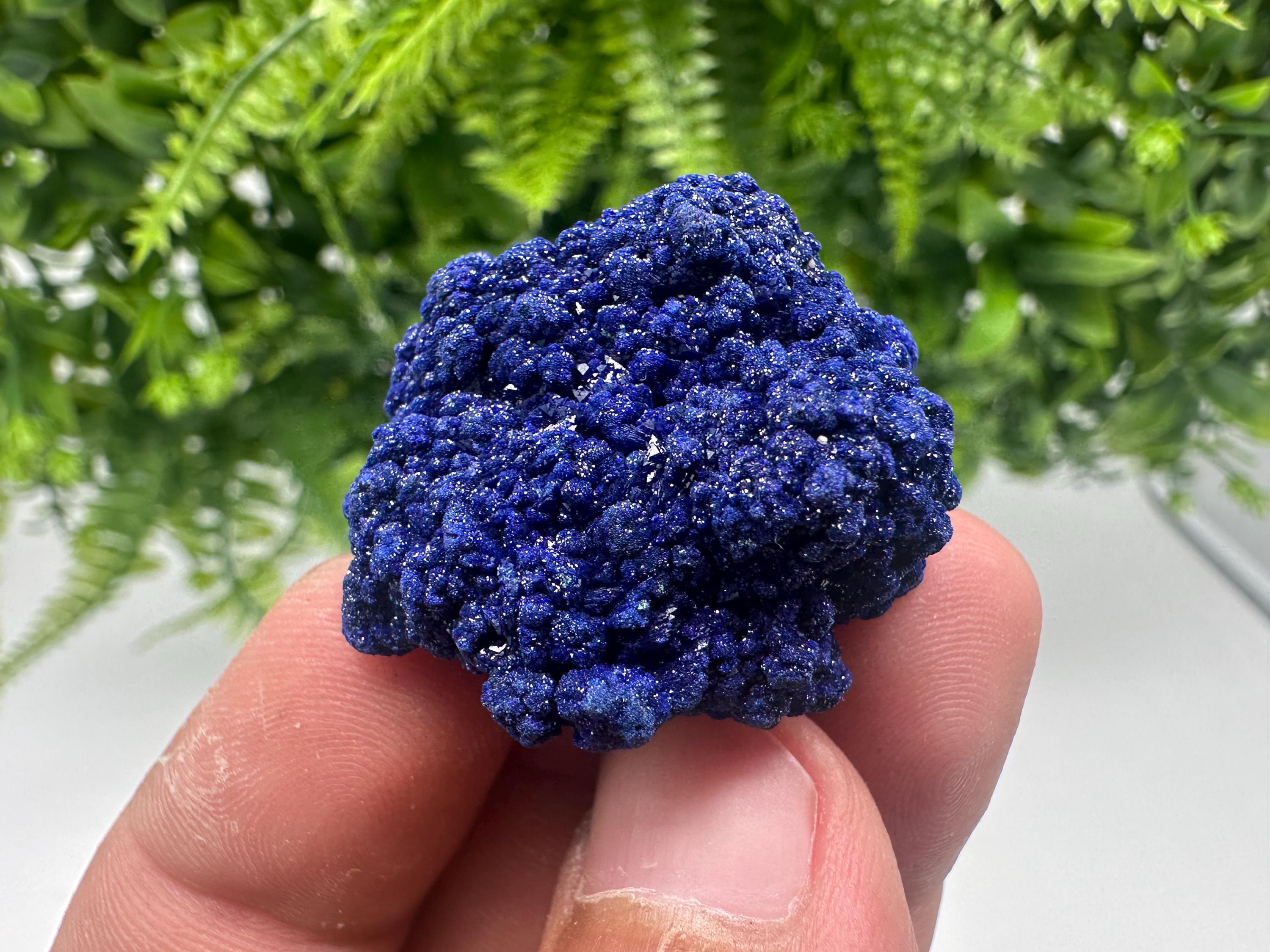 Crystallized Azurite-Kerrouchen,Morocco-Blue Azurite Specimen-High Quality Blue Azurite-Azurite Mineral Specimen, gemmy,lustrous of Azurite