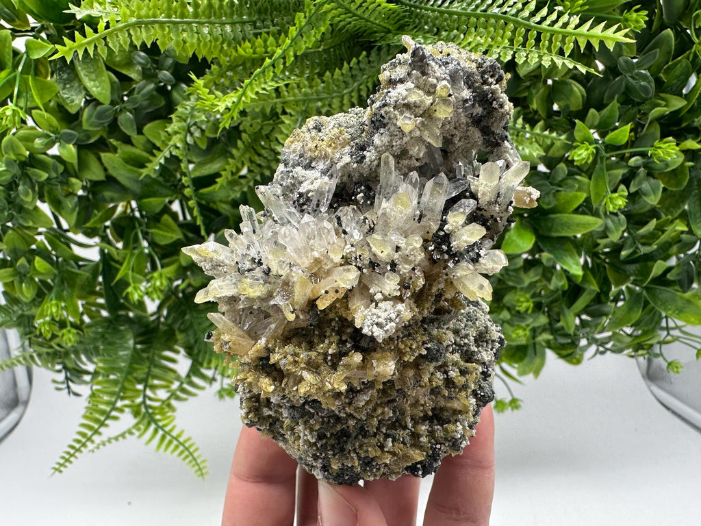Chlorite Epidote Quartz Specimen: Borieva Mine, Bulgaria