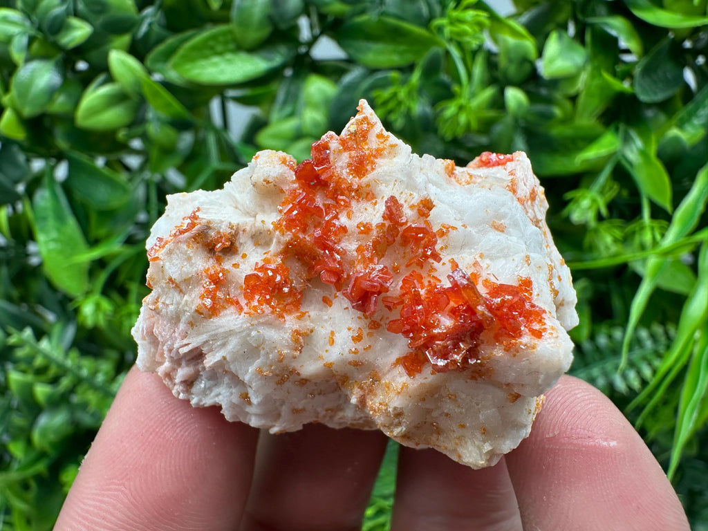 Red Vanadinite Crystal on Barite, Morocco Mineral Specimen