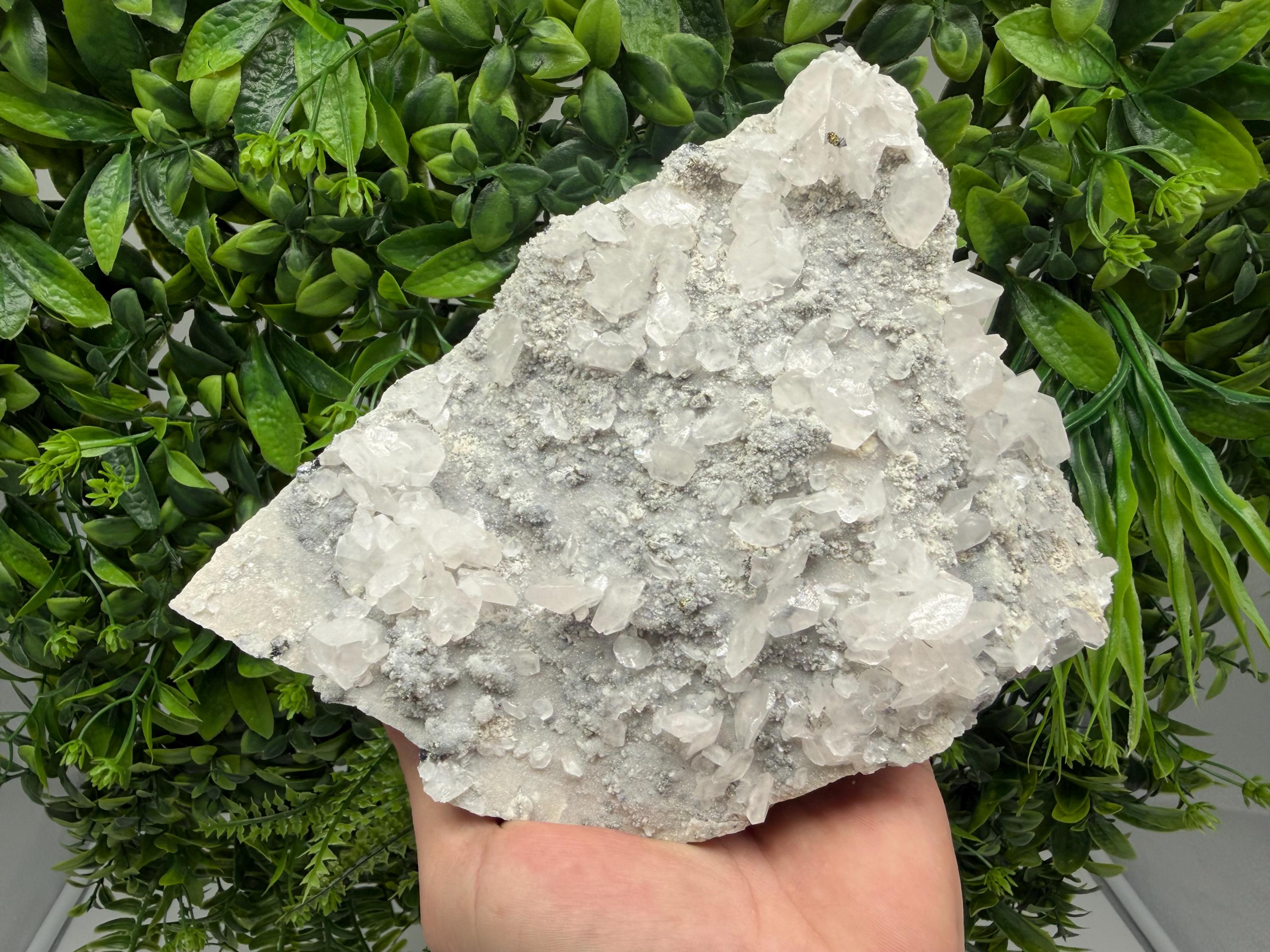 Calcite Quartz on Chlorite Matrix Mineral Specimen, Borieva Mine Bulgaria, Rare Crystal Home Decor