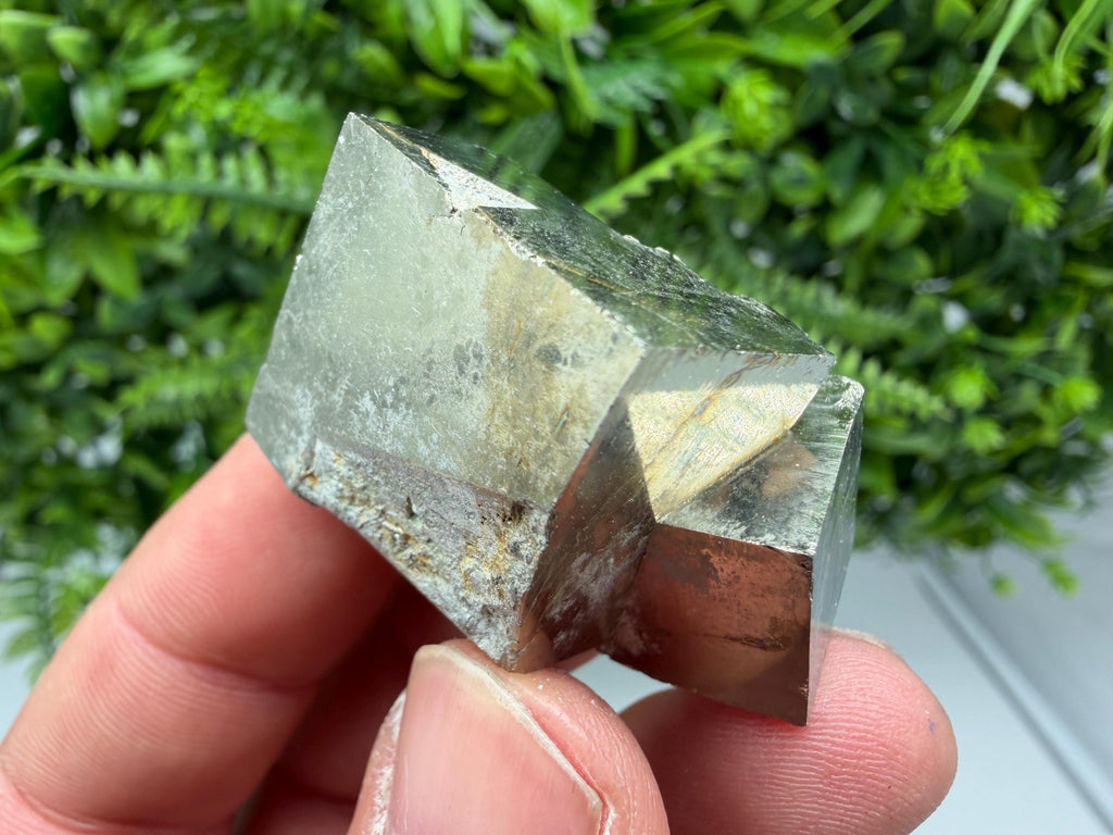 Interjoined Pyrite Cube, Shiny Home Decor Stone, La Rioja Spain