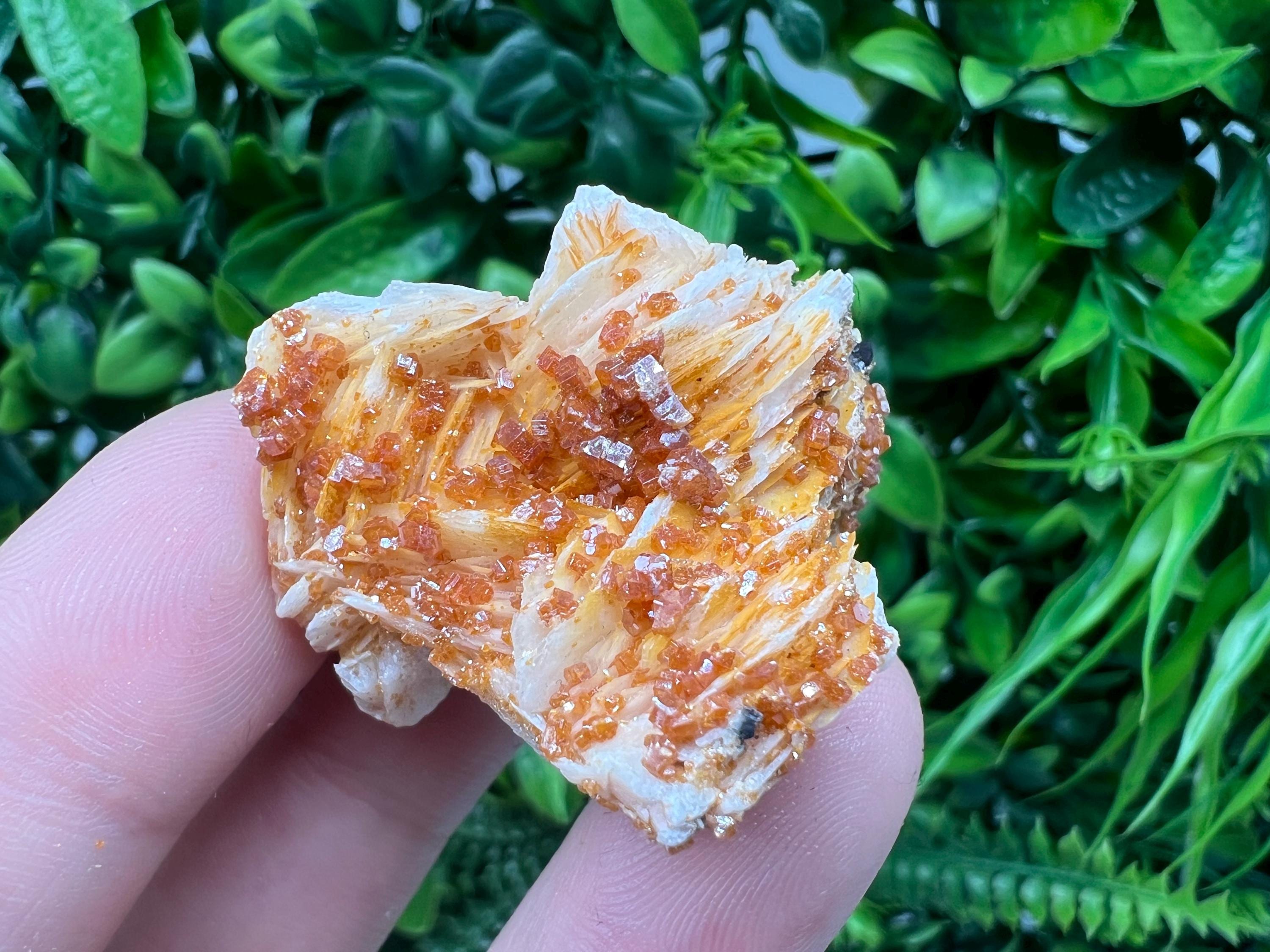 Red Vanadinite on Barite from Marocco,crystal minerals Speciment cluster Vanadinite crystal Vanadinite Geology Vanadinite cluster minerals