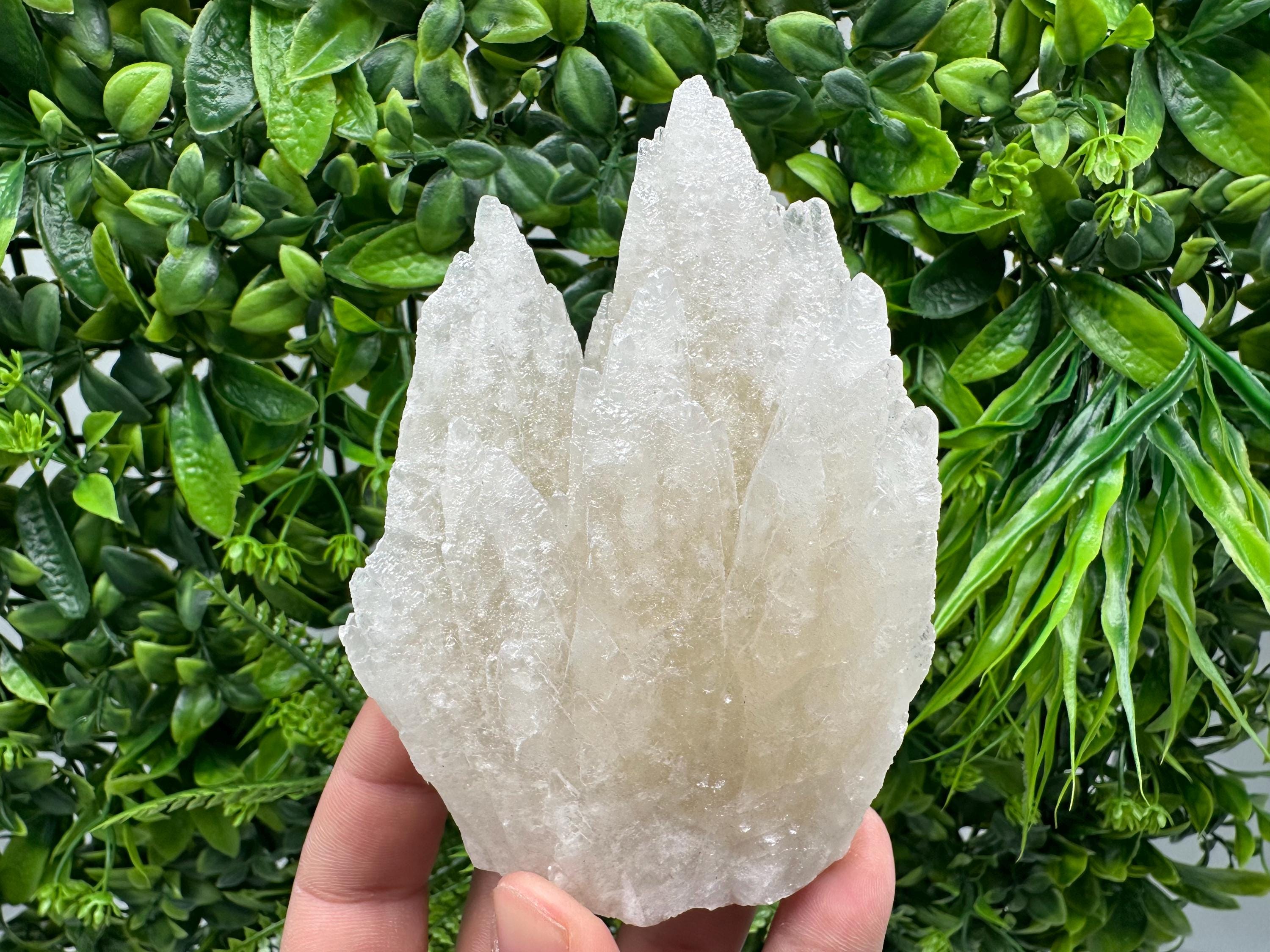Calcite on Green Quartz: Djurcovo Mine, Bulgaria