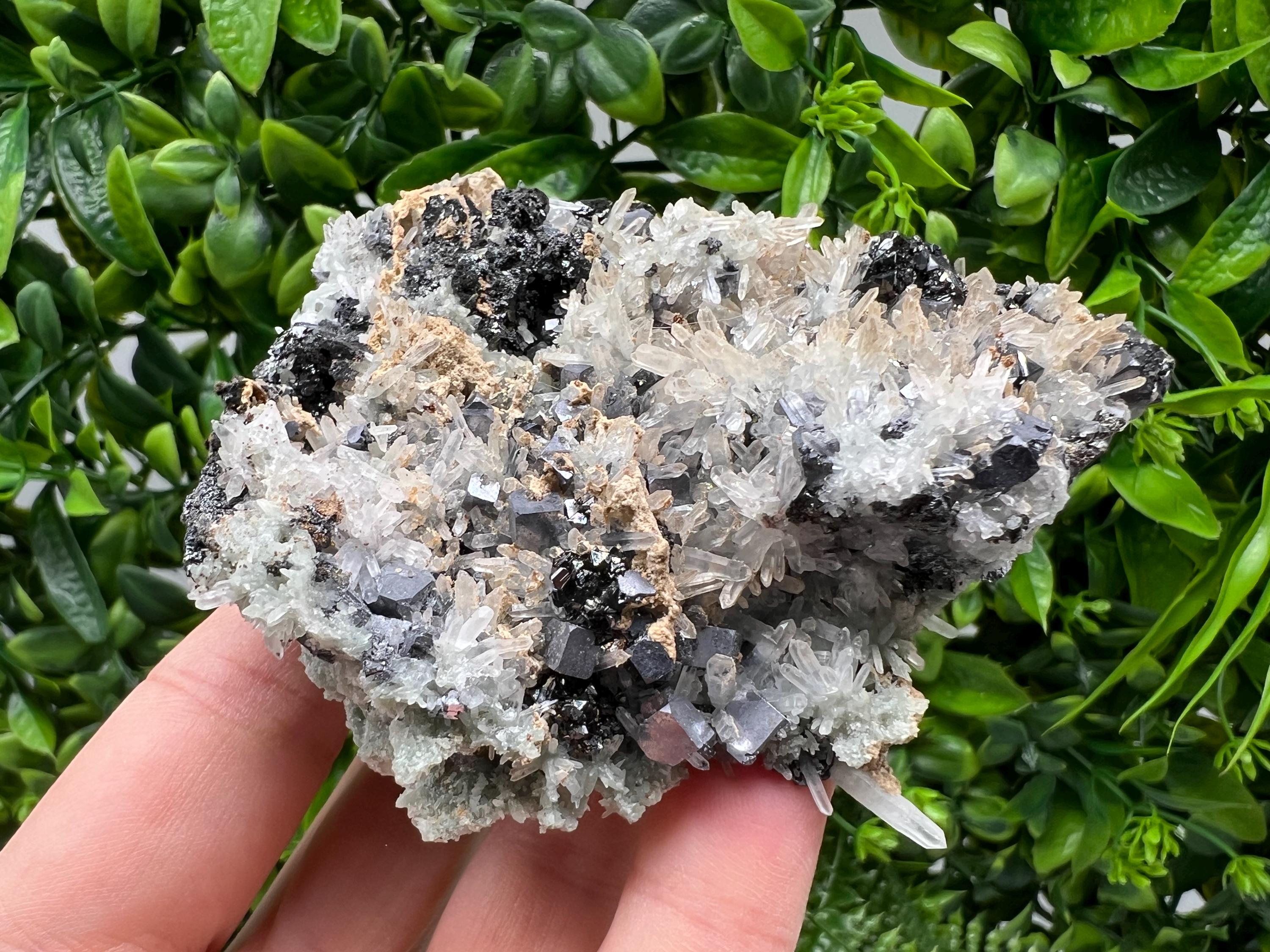 Aesthetic Natural shiny Galena whit Siderite and Quartz from 9 th September mine,Bulgaria,collection specimen,rare galena,Galena cluster