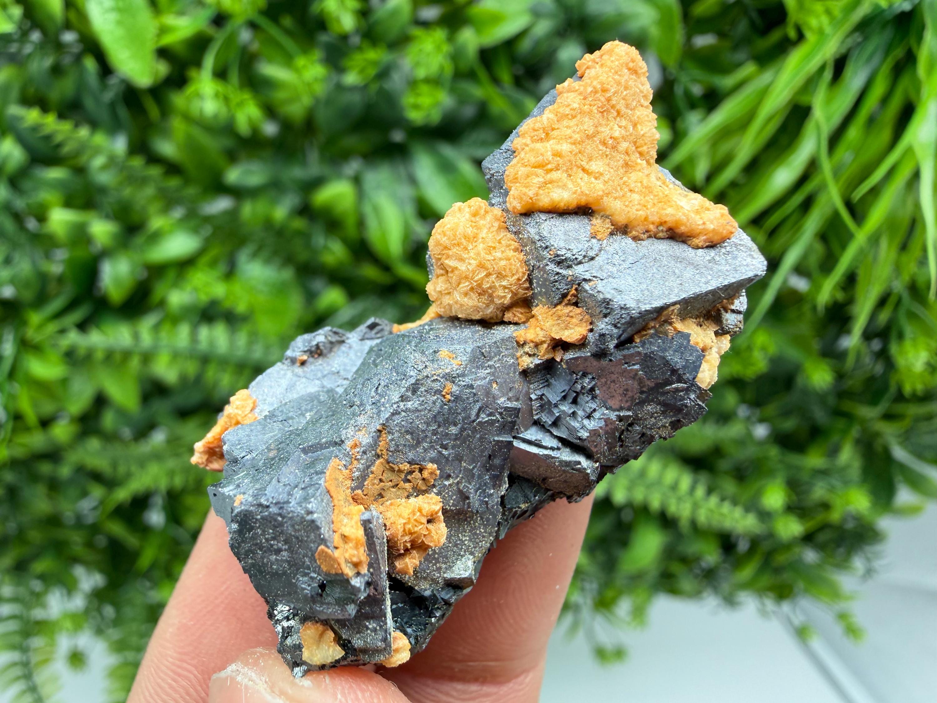 Skeletal Galena with Dolomite: Krushev Dol Mine, Bulgaria
