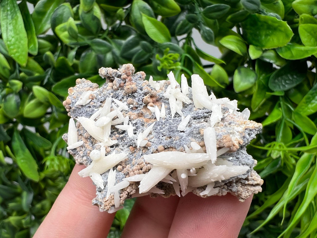 Rare Rainbow Pyrite Calcite Specimen: Madan Bulgaria Mineral Decor