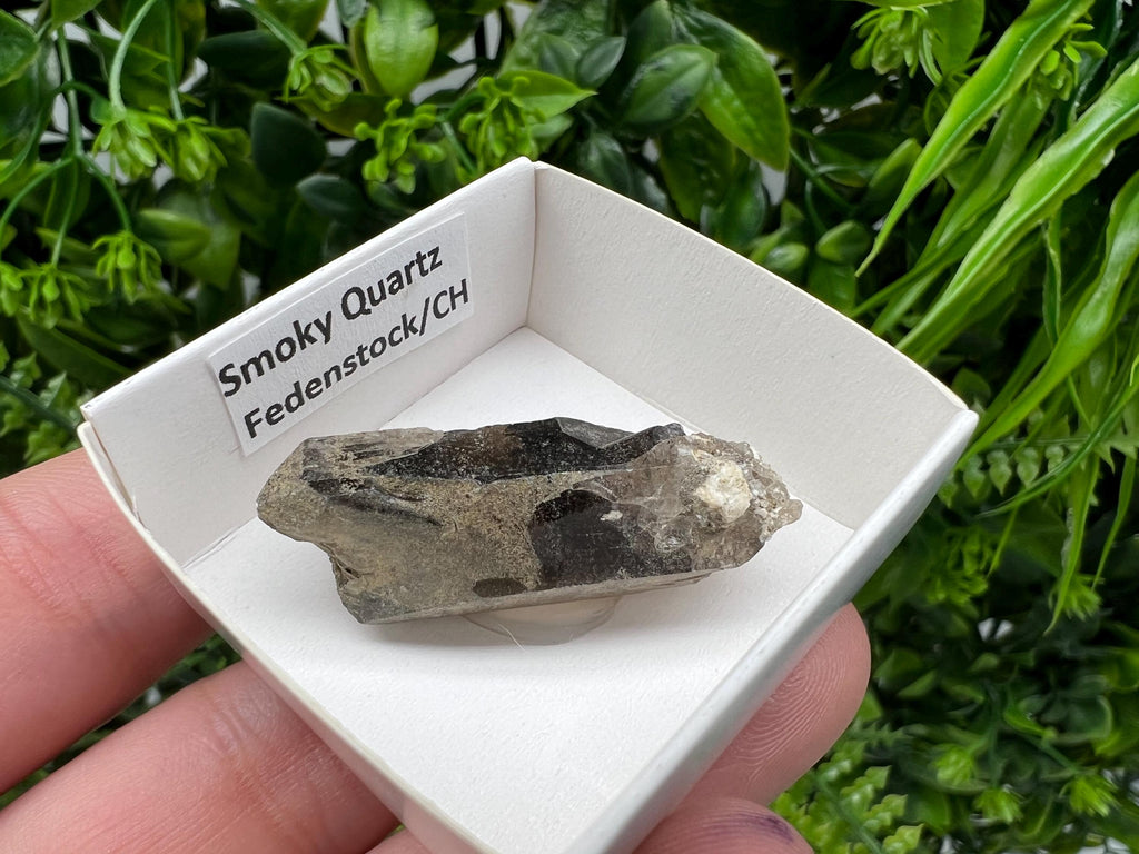 Rare Fedenstock Smoky Quartz Point, Swiss Mineral Specimen (40mm)