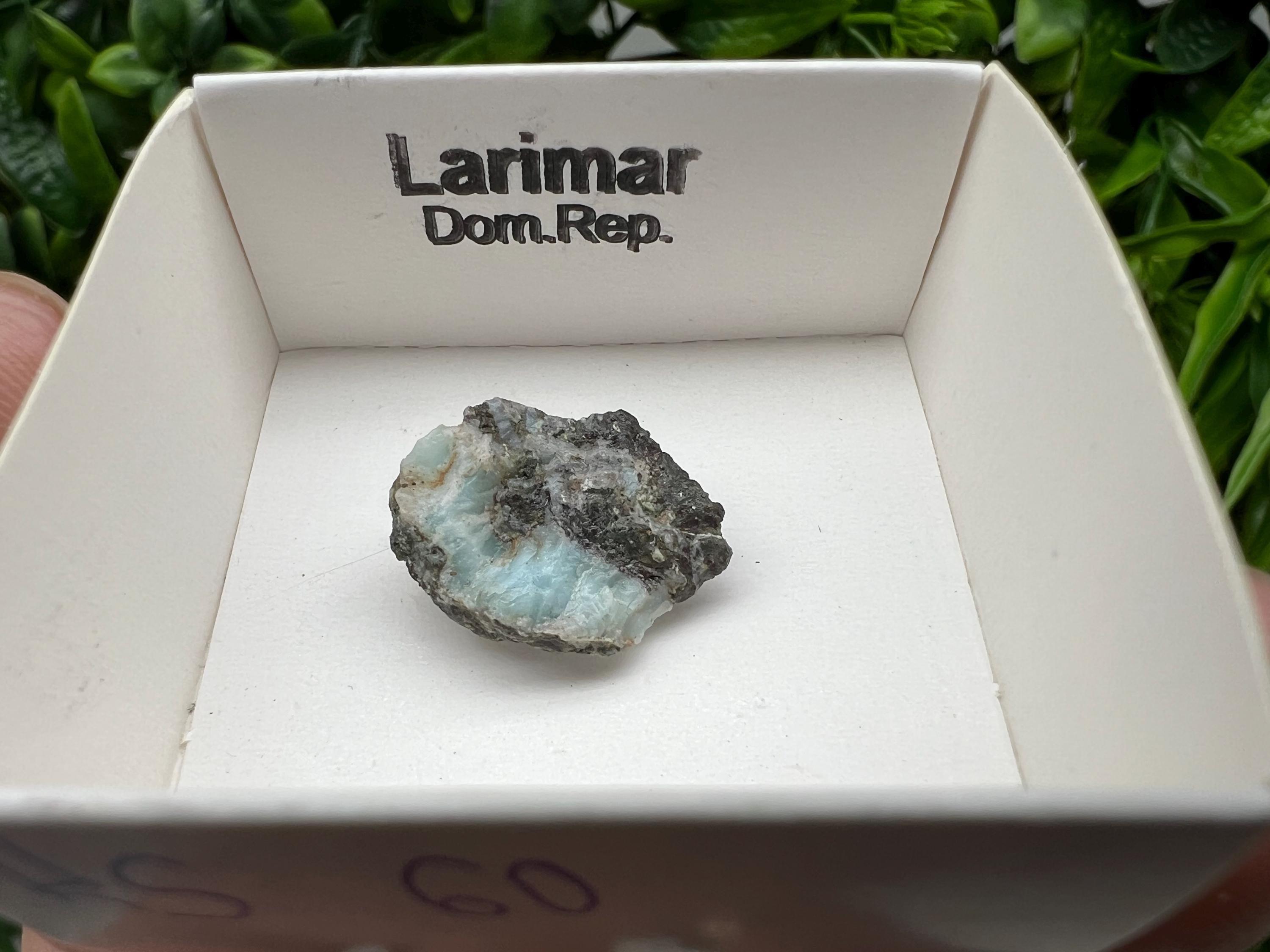 Rare Raw Larimar Specimen: Dominican Republic Mineral Collection (20/15mm)
