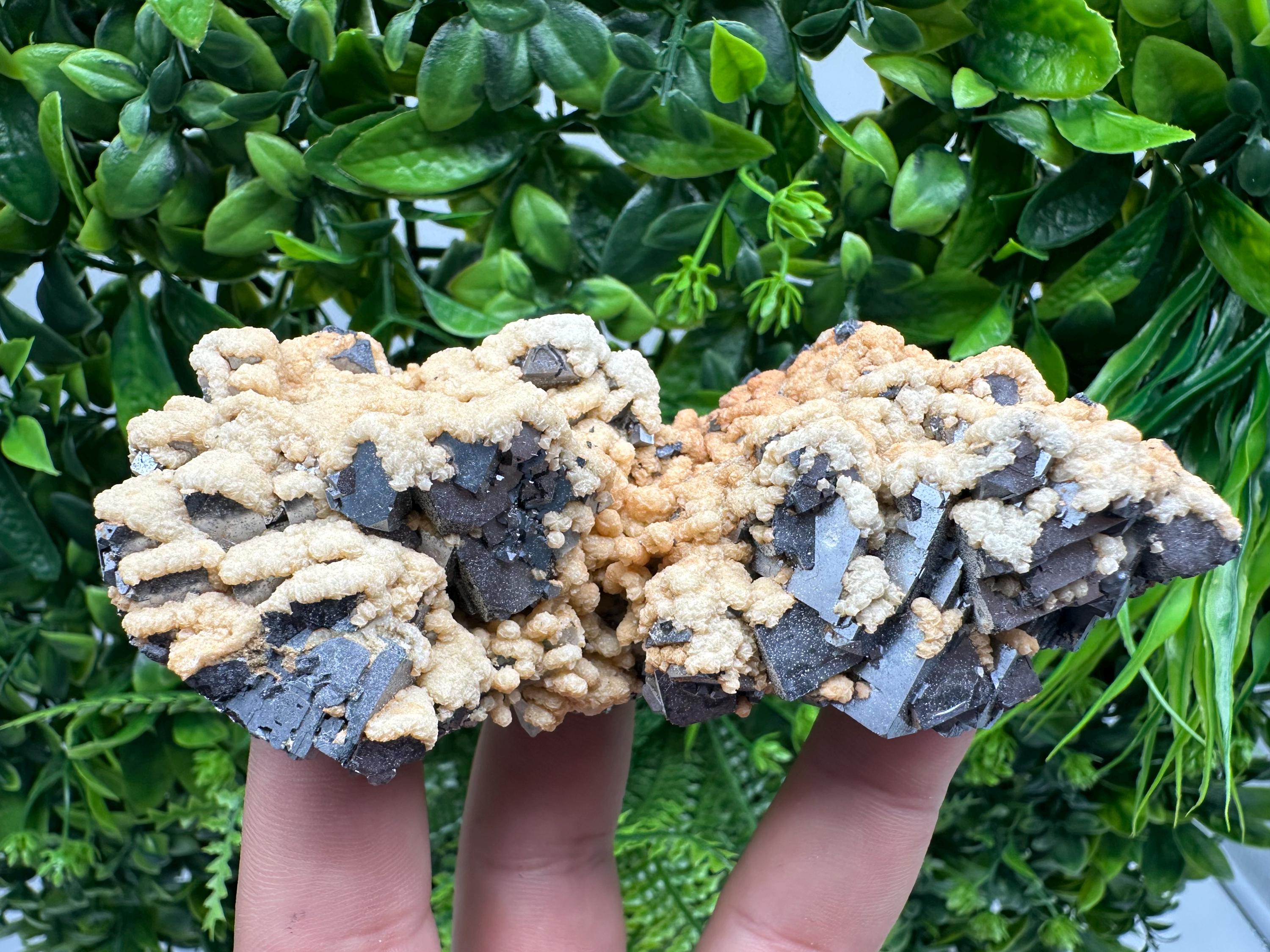 Galena Dolomite Cluster, Krushev dol Bulgaria Mineral Specimen