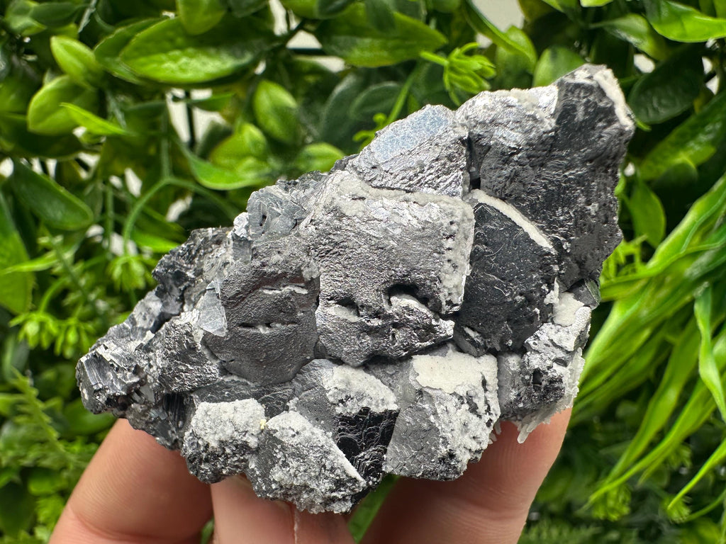 Galena with Quartz Specimen: Krushev Dol Mine, Bulgaria